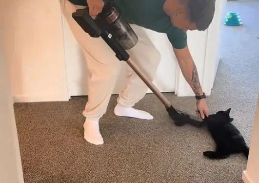 猫主子化身液体路障奴才吸地竟上演人肉清障车戏码…网笑：这届铲屎官太难了！(图2)