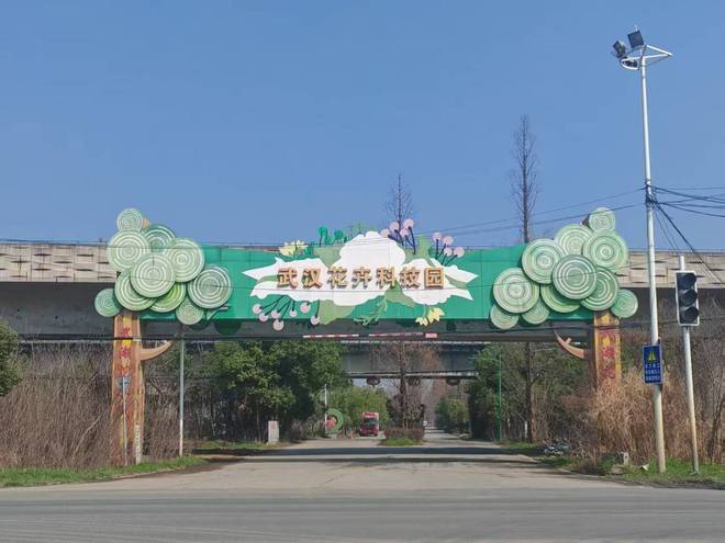 抢在暴风雨来临前22米存在安全隐患的跨街广告牌被定点清除(图1)