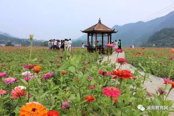 湖南省教育厅扶贫村获评全国美丽宜居村庄(图5)