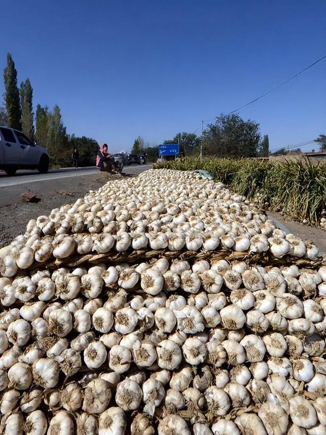 驻美大使谢锋：中国大蒜从没想过有朝一日会被视作国家安全威胁(图13)