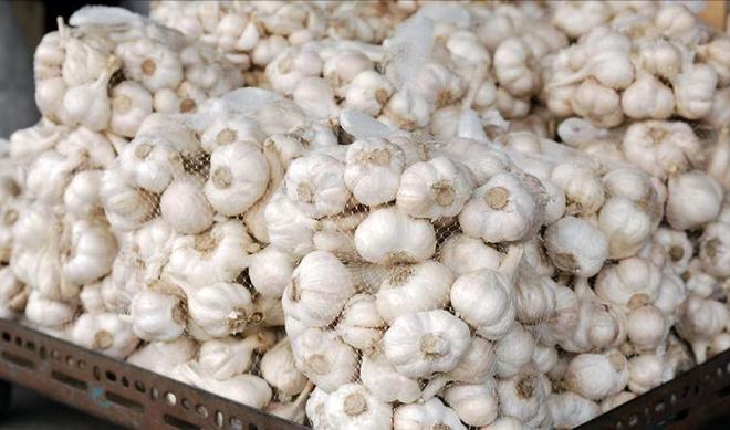 驻美大使谢锋：中国大蒜从没想过有朝一日会被视作国家安全威胁(图15)