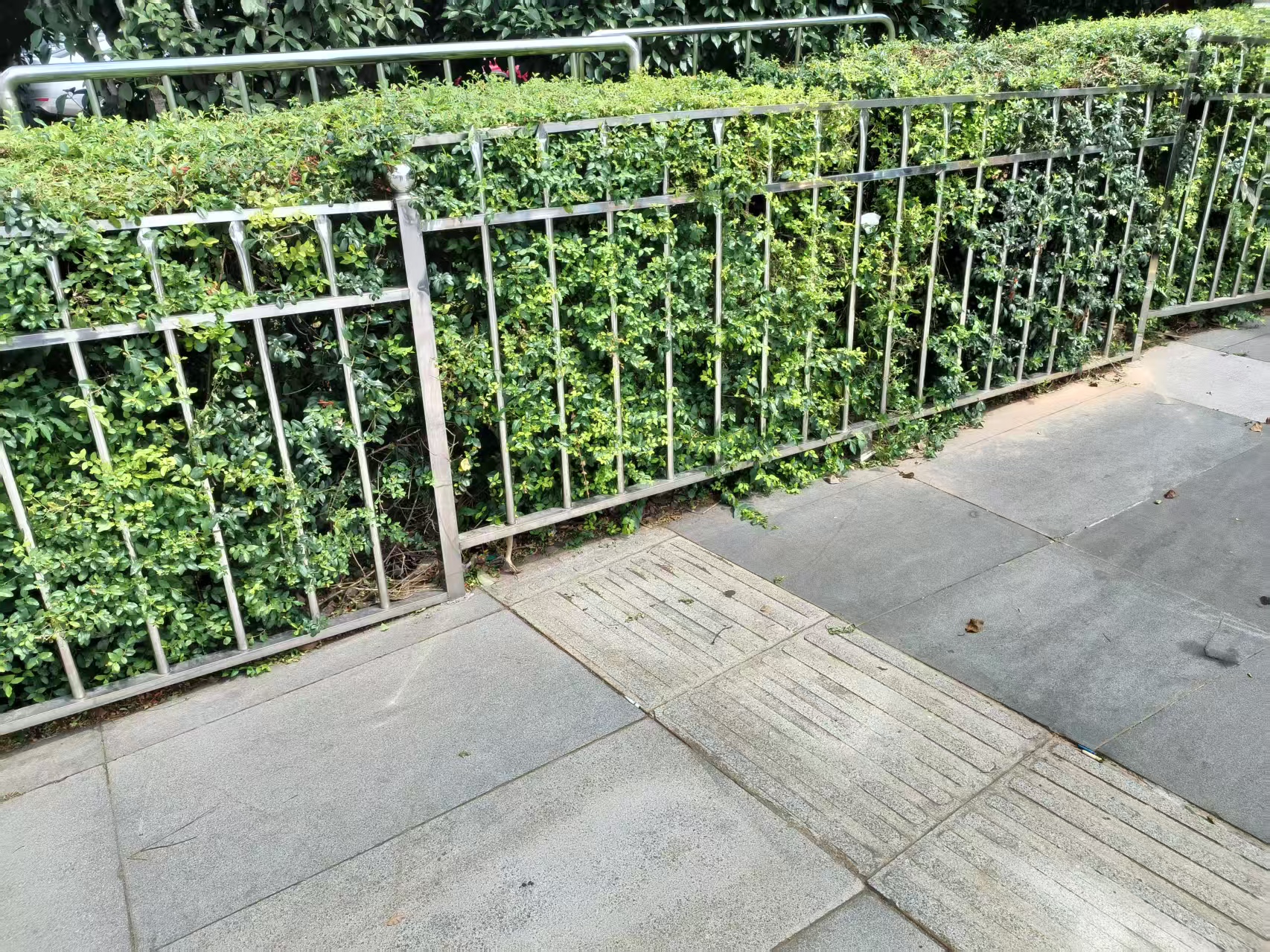 盲道通向一堵墙？记者探访长沙多处盲道被占现场！湖南已专门立法10月1日施行(图1)